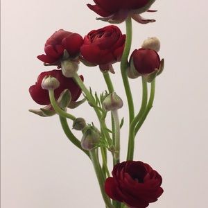 Meet your Posher, Ester